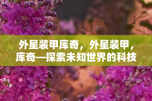 外星装甲库奇，外星装甲，库奇—探索未知世界的科技先驱