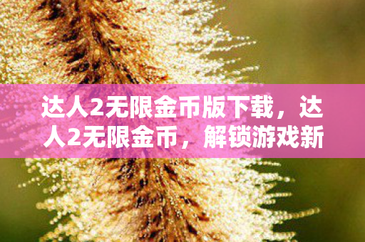 达人2无限金币版下载，达人2无限金币，解锁游戏新境界的秘诀