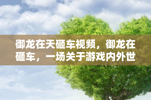 御龙在天砸车视频，御龙在砸车，一场关于游戏内外世界的深度探讨