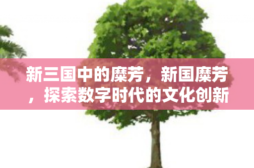 新三国中的糜芳，新国糜芳，探索数字时代的文化创新与传承