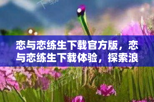 恋与恋练生下载官方版，恋与恋练生下载体验，探索浪漫与音乐的奇妙之旅