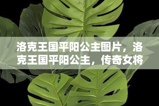 洛克王国平阳公主图片，洛克王国平阳公主，传奇女将的荣耀与传奇