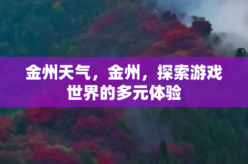金州天气，金州，探索游戏世界的多元体验