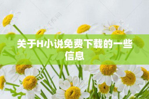 关于H小说免费下载的一些信息
