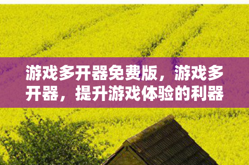 游戏多开器免费版，游戏多开器，提升游戏体验的利器，还是潜在的风险隐患？