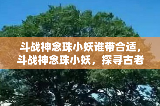 斗战神念珠小妖谁带合适，斗战神念珠小妖，探寻古老传说中的神秘力量