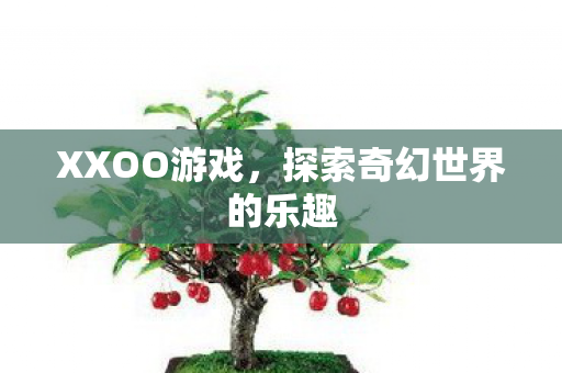XXOO游戏，探索奇幻世界的乐趣