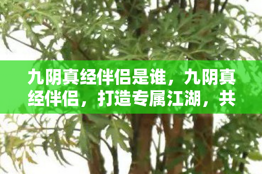 九阴真经伴侣是谁，九阴真经伴侣，打造专属江湖，共赴武侠盛宴