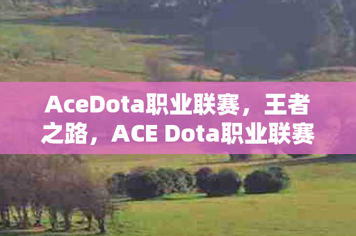AceDota职业联赛，王者之路，ACE Dota职业联赛的魅力与挑战