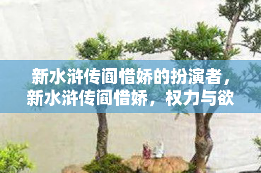 新水浒传阎惜娇的扮演者，新水浒传阎惜娇，权力与欲望的交织