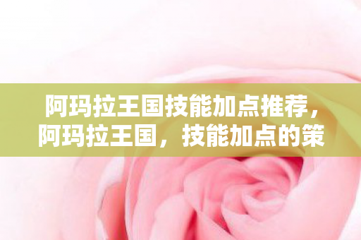 阿玛拉王国技能加点推荐，阿玛拉王国，技能加点的策略与影响