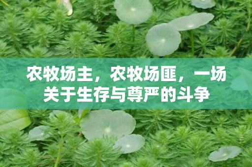 农牧场主，农牧场匪，一场关于生存与尊严的斗争