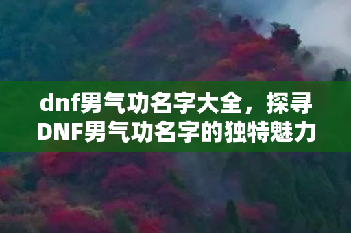dnf男气功名字大全，探寻DNF男气功名字的独特魅力