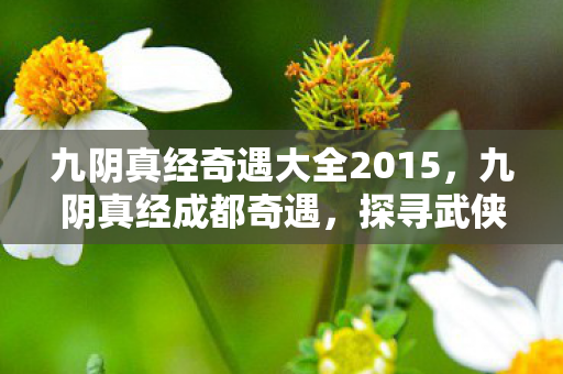 九阴真经奇遇大全2015，九阴真经成都奇遇，探寻武侠世界的神秘面纱