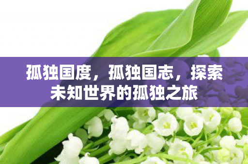 孤独国度，孤独国志，探索未知世界的孤独之旅