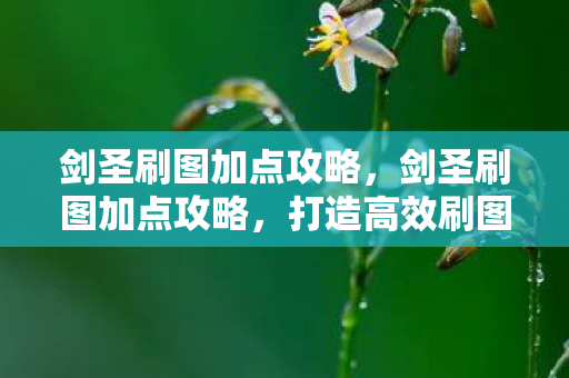 剑圣刷图加点攻略，剑圣刷图加点攻略，打造高效刷图体验