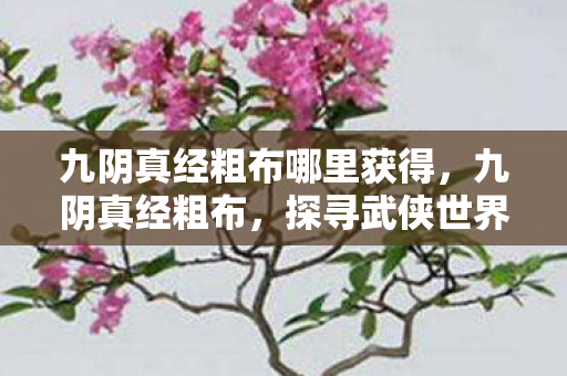 九阴真经粗布哪里获得，九阴真经粗布，探寻武侠世界的独特魅力