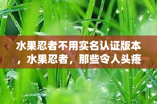 水果忍者不用实名认证版本，水果忍者，那些令人头疼的bug