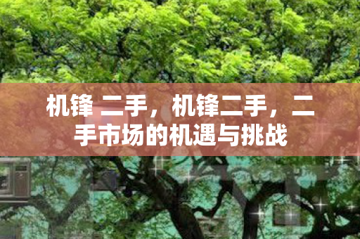 机锋 二手，机锋二手，二手市场的机遇与挑战