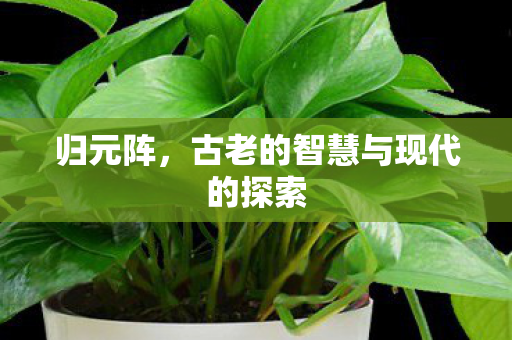 归元阵，古老的智慧与现代的探索