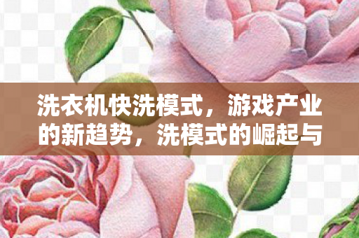 洗衣机快洗模式，游戏产业的新趋势，洗模式的崛起与影响