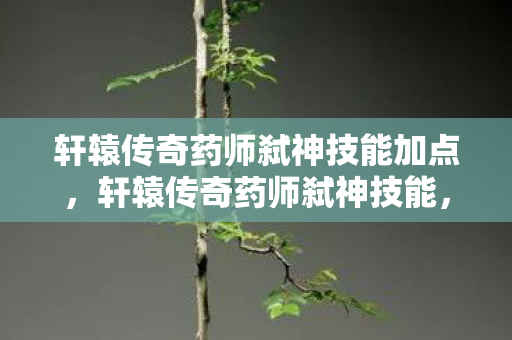 轩辕传奇药师弑神技能加点，轩辕传奇药师弑神技能，掌握生死，逆转乾坤