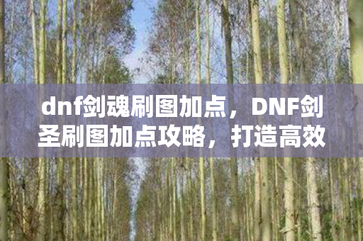 dnf剑魂刷图加点，DNF剑圣刷图加点攻略，打造高效刷图体验