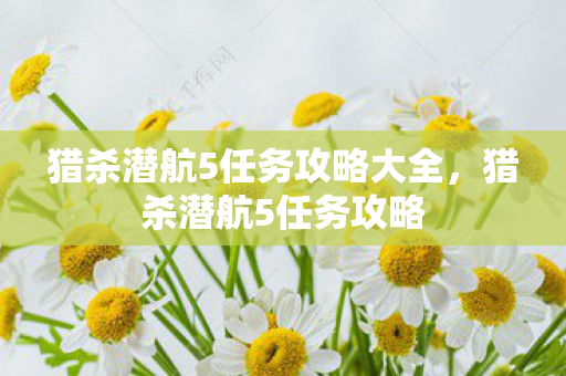 猎杀潜航5任务攻略大全，猎杀潜航5任务攻略