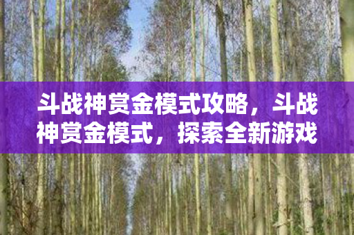 斗战神赏金模式攻略，斗战神赏金模式，探索全新游戏经济体系