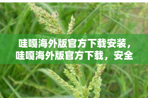 哇嘎海外版官方下载安装，哇嘎海外版官方下载，安全、便捷、高效的海外娱乐新选择