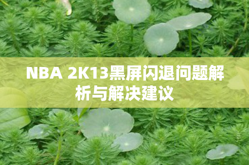 NBA 2K13黑屏闪退问题解析与解决建议