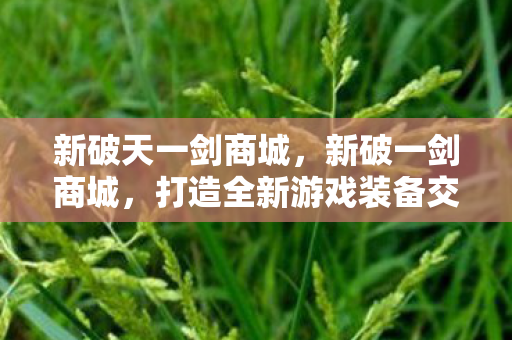 新破天一剑商城，新破一剑商城，打造全新游戏装备交易体验