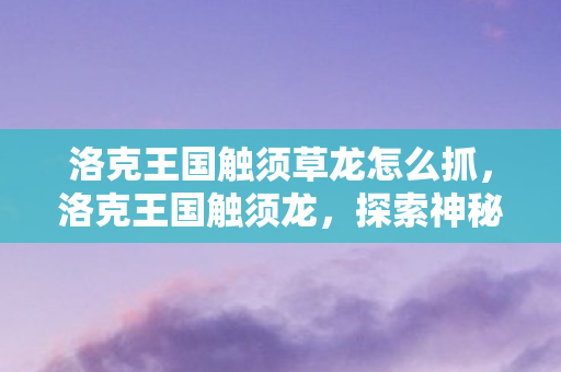 洛克王国触须草龙怎么抓，洛克王国触须龙，探索神秘生物与游戏世界的奇妙融合