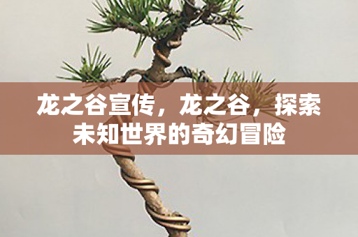 龙之谷宣传，龙之谷，探索未知世界的奇幻冒险