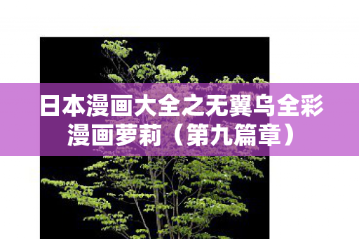 日本漫画大全之无翼乌全彩漫画萝莉（第九篇章）