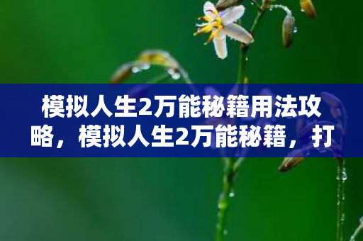 模拟人生2万能秘籍用法攻略，模拟人生2万能秘籍，打造完美人生的终极指南