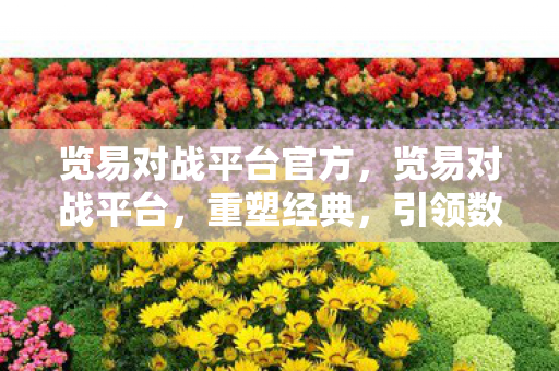 览易对战平台官方，览易对战平台，重塑经典，引领数字娱乐新风尚