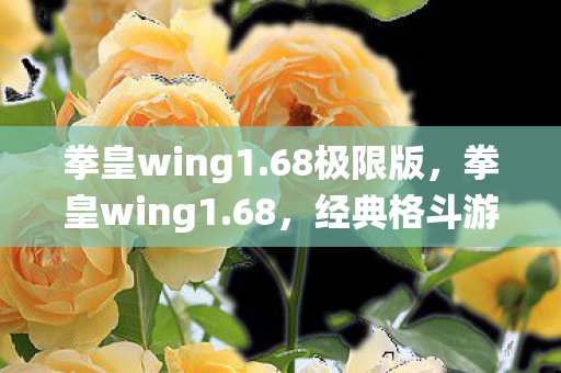 拳皇wing1.68极限版，拳皇wing1.68，经典格斗游戏的全新演绎