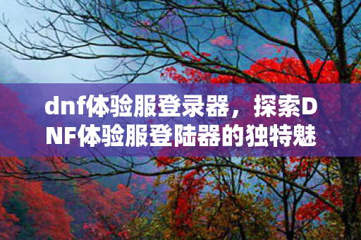 dnf体验服登录器，探索DNF体验服登陆器的独特魅力与便捷体验