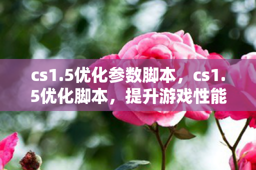 cs1.5优化参数脚本，cs1.5优化脚本，提升游戏性能与流畅度的关键