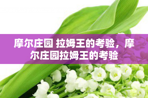 摩尔庄园 拉姆王的考验，摩尔庄园拉姆王的考验