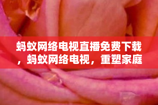 蚂蚁网络电视直播免费下载，蚂蚁网络电视，重塑家庭娱乐新体验