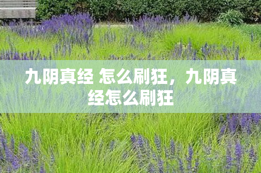 九阴真经 怎么刷狂，九阴真经怎么刷狂