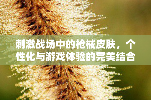 刺激战场中的枪械皮肤，个性化与游戏体验的完美结合