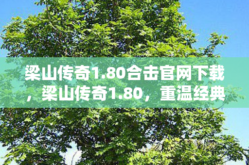 梁山传奇1.80合击官网下载，梁山传奇1.80，重温经典，再续传奇