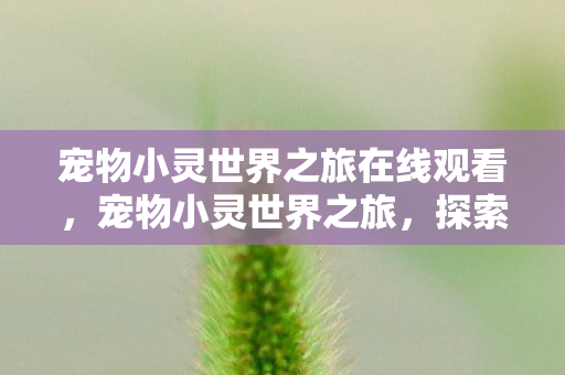 宠物小灵世界之旅在线观看，宠物小灵世界之旅，探索奇幻世界的奇妙旅程