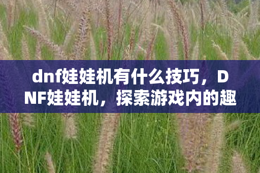 dnf娃娃机有什么技巧，DNF娃娃机，探索游戏内的趣味与机遇