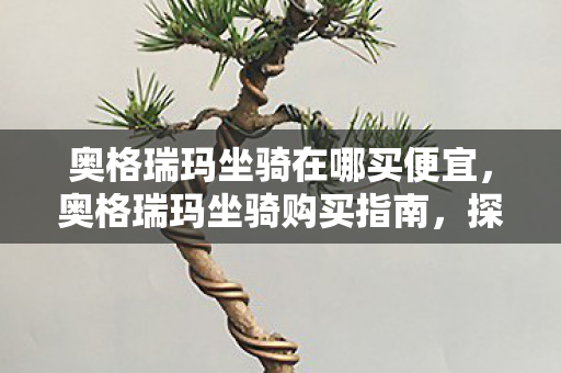 奥格瑞玛坐骑在哪买便宜，奥格瑞玛坐骑购买指南，探索官方购买渠道与选择