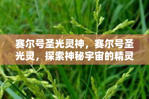 赛尔号圣光灵神，赛尔号圣光灵，探索神秘宇宙的精灵之旅