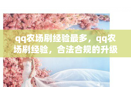 qq农场刷经验最多，qq农场刷经验，合法合规的升级攻略